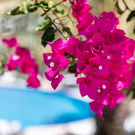 Vila Balaia - Luxury Boutique Villas Albufeira Exterior foto